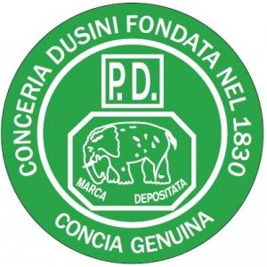 Dusini Logo Small